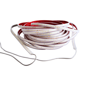 LED Stripes ab IP44 bei TK Elektrotechnik Schönewalde UG in Schönewalde